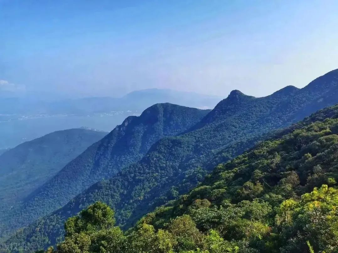 网友建议将七娘山恢复叫大鹏山，深圳市规划局：将按程序论证可行性