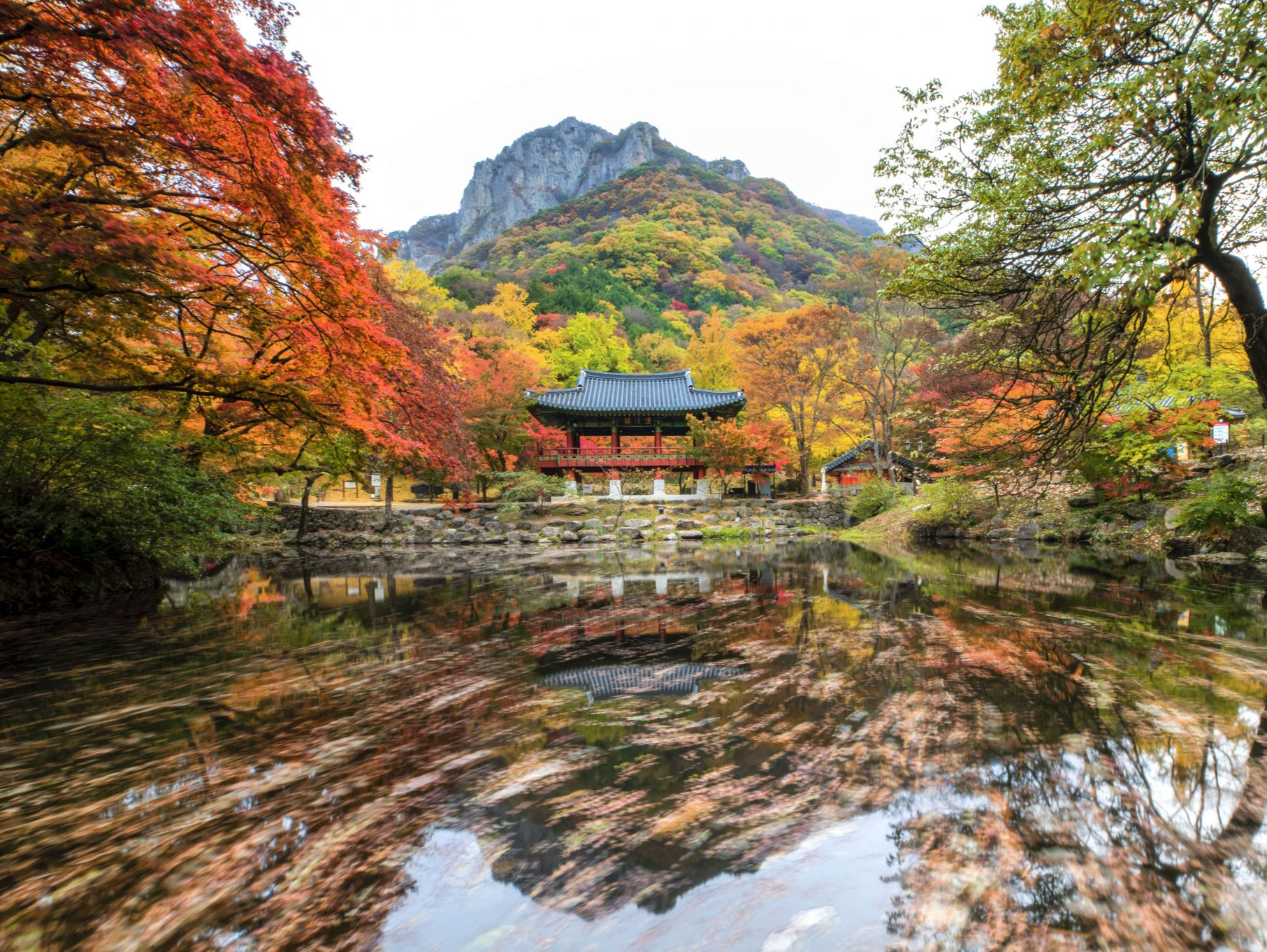 赏秋日浪漫，韩国旅游发展局推出“自游FUN韩赏韩枫”