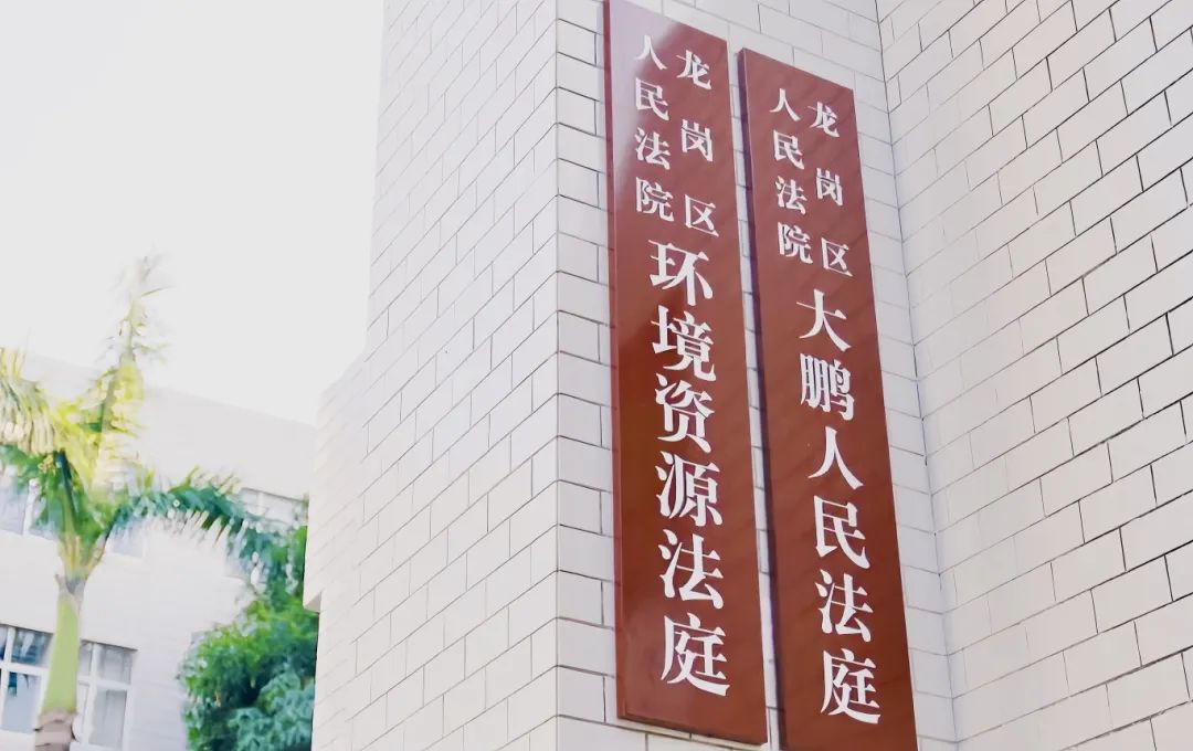 “三合一”“化学”融合 筑牢绿水青山司法保护屏障  ——深圳龙岗法院环境资源法庭审判工作纪实