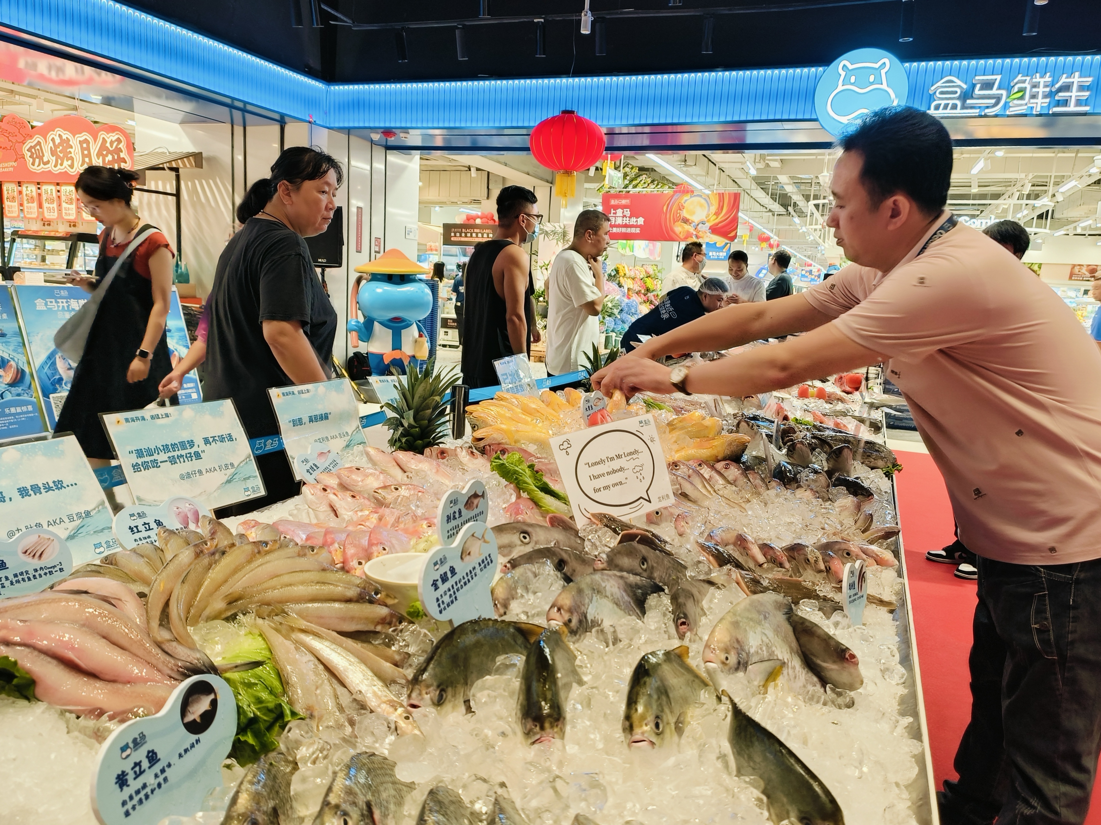 盒马开海第二弹 继东海后近30种南海海鲜上岸比拼