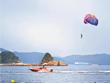 晶报特别报道│是谁在打造深圳的“黄金海岸”