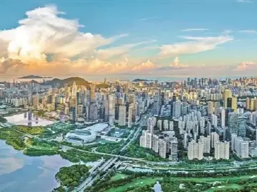 深圳一周 | 各区书记区长在忙啥？（9月16日-9月22日）