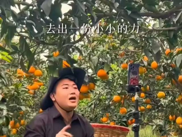 全红婵哥哥经营的果蔬店被注销，同日成立新公司，此前曾称希望助农