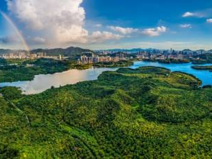 南山区夺冠！2024年绿美广东竞风华（深圳赛区）决赛举行