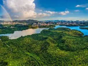 南山区夺冠！2024年绿美广东竞风华（深圳赛区）决赛举行