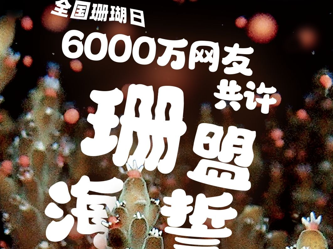 全国珊瑚日，6000万网友共许“珊”盟海誓！
