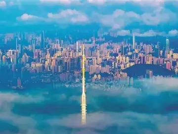 深圳一周丨各区书记区长在忙啥？（8月26日-9月1日）