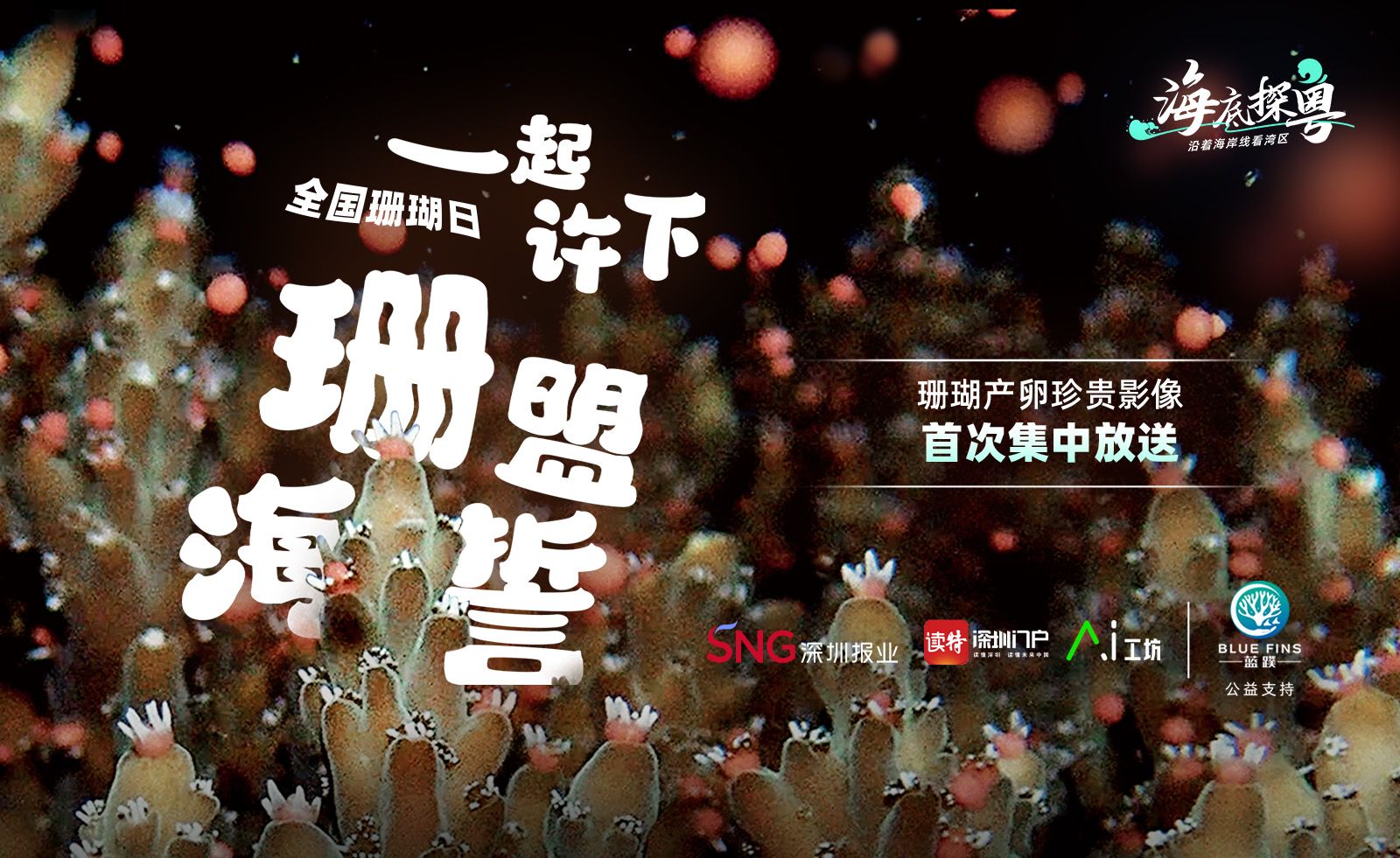 珊瑚产卵珍贵影像首次集中放送！全国珊瑚日，一起许下珊盟海誓