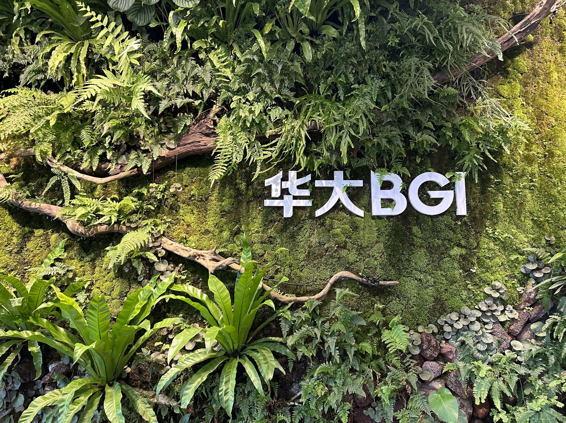 药明康德、药明生物、华大智造回应美国“生物安全法案”：未收集任何基因数据 
