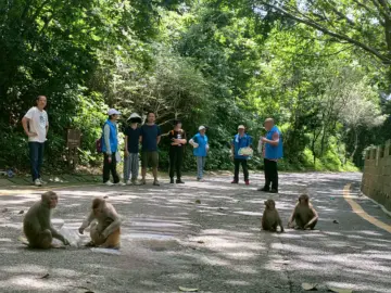 深圳首支护猴志愿队授旗成立