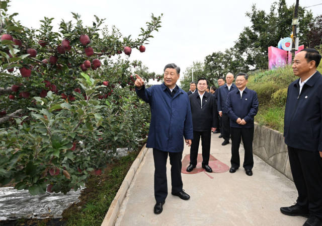 习近平在甘肃考察时强调 深化改革勇于创新苦干实干富民兴陇 奋力谱写中国式现代化甘肃篇章