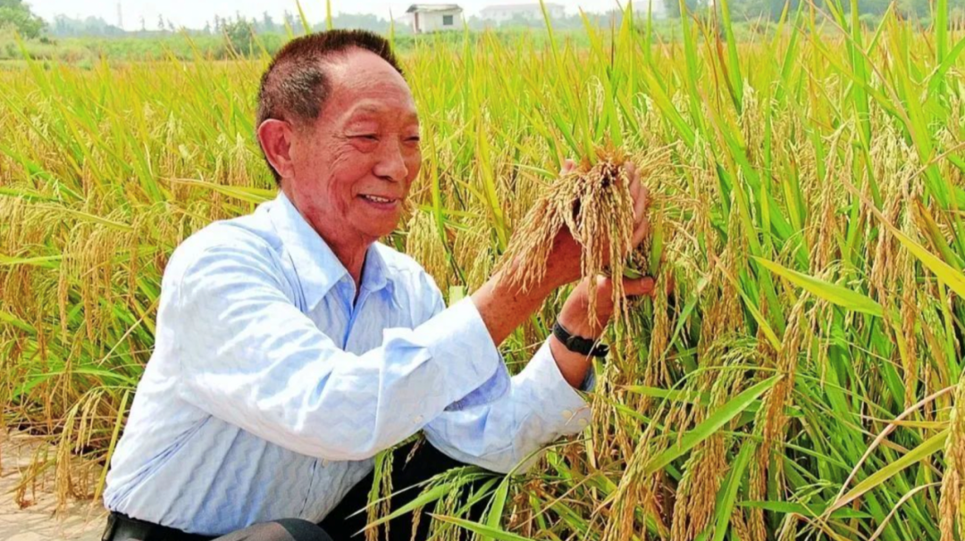 他说过的这些话，哪句触动了你？