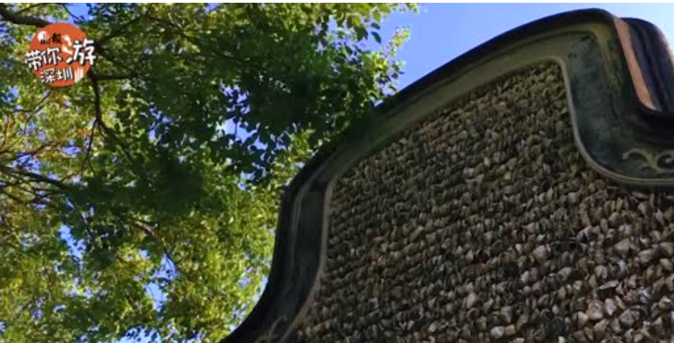 晶报带你游深圳 | “深圳第一塔”就在这！比故宫还老的沙井古墟