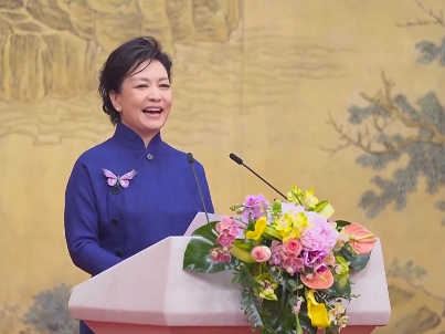 彭丽媛同非洲国家领导人配偶共同出席中非妇女教育主题会议