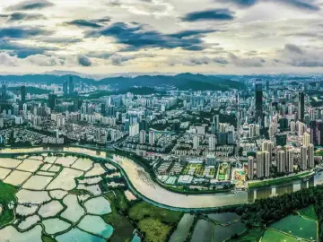 深圳，优秀！广东省2023年度全面推行河湖长制工作考核结果公布