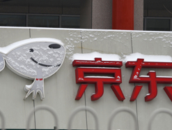 全员普调，年内第四轮加薪！京东想找回“狼性”