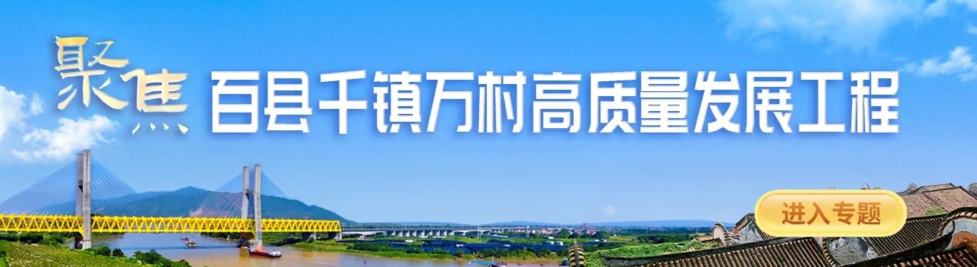 圆桌论坛 | 佛山如何聚力提速推进“百千万工程”？