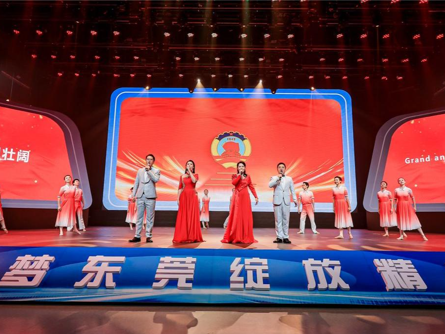 “人与城”共同成长，12位中外人士分享自己的东莞故事