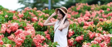 九月的第一天，从「粉色花海」开始吧