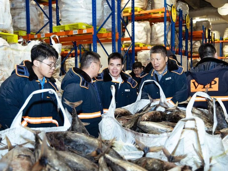 深圳渔业增添新“冻”能！中渔环球自捕鱼顺利进入盐田综合保税区