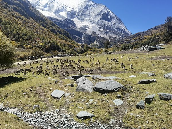 “景区拒绝泡面”再引争议，多个景区回应：可带泡面但不保证有开水