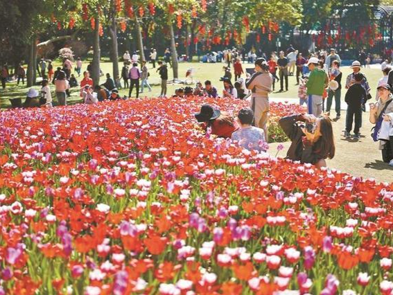 拍花记（外一首） ｜人文天地·南海潮