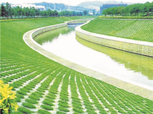 做活“水文章” 答好“生态卷”——两英镇水系“生产、生活、生态”整治工程开工建设