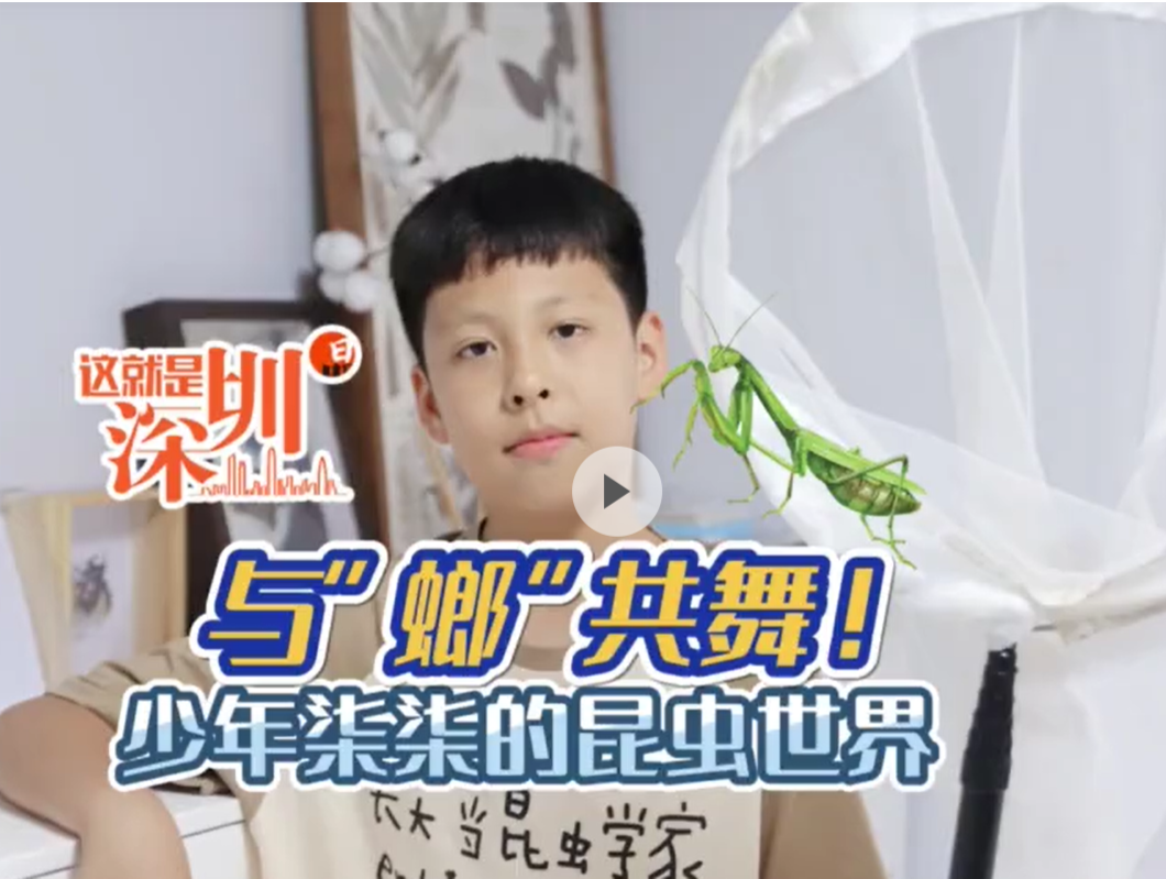 这就是深圳丨与“螂”共舞！少年柒柒的昆虫世界