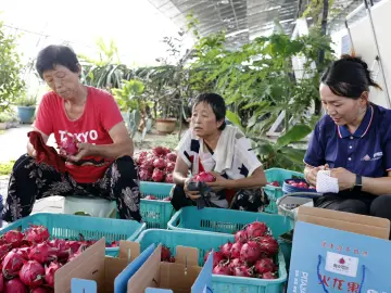 澳大利亚国立大学法律博士赵政豪：内陆开放新高地，推动丝路经济新发展
