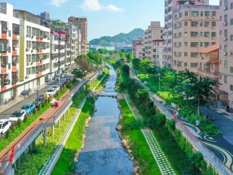听龙岗区水务局局长谈灾害天气与韧性治理