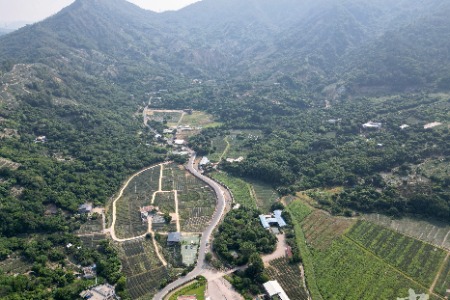 禾虫迎来成熟期，到神湾开启“尝鲜”之旅丨百里西江·中山画廊 