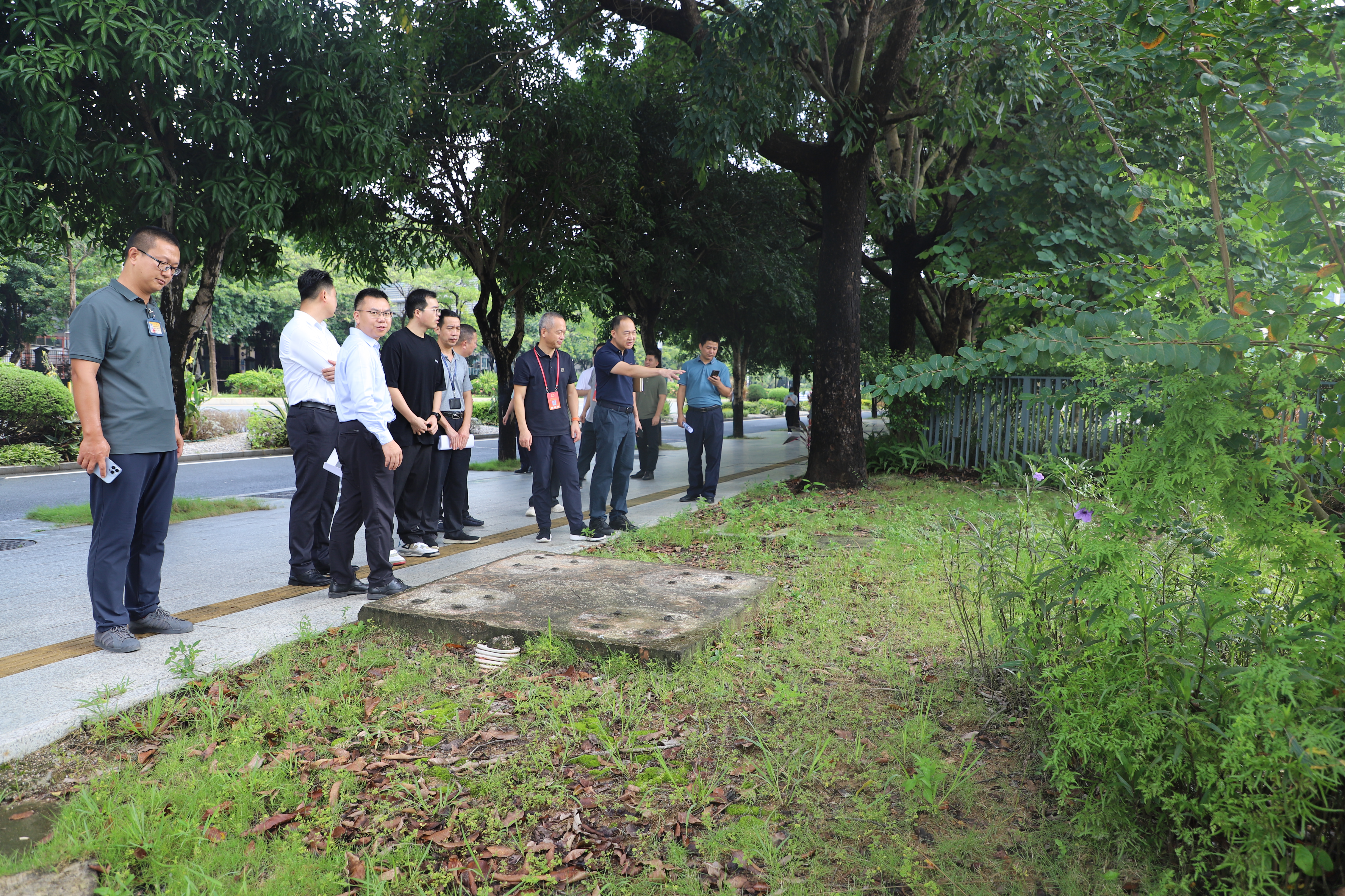 监督整改治理一体发力！人大龙田街道工委助力推进“美好街区”营造