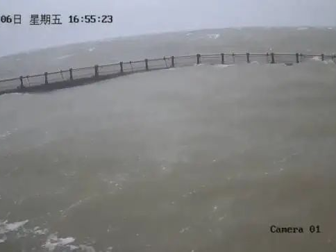 风还没停，赔款到账！湛江海洋牧场360万保险跑赢“摩羯”