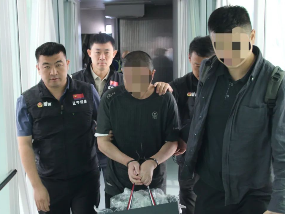 伙同他人集资诈骗200亿余元，一经济犯罪嫌疑人被遣返回国