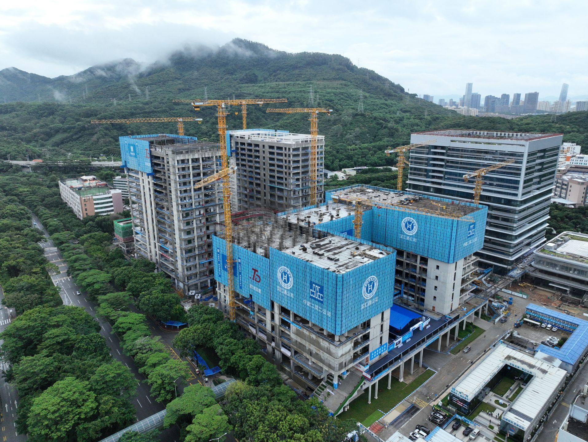湾区建设加速“向上”生长