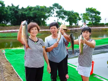 农趣满满，汕尾庆祝2024年“中国农民丰收节”