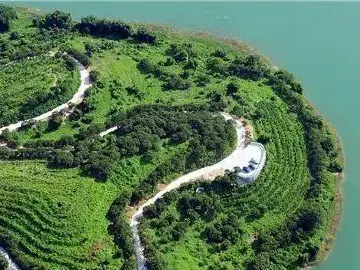用“绿色”擦亮中山高质量发展底色
