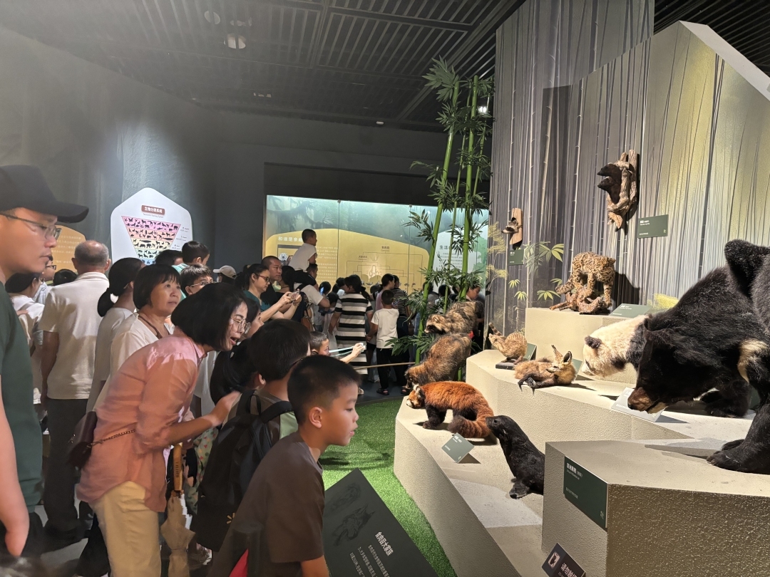 累计接待观众约130万人次！深圳博物馆暑期数据公布