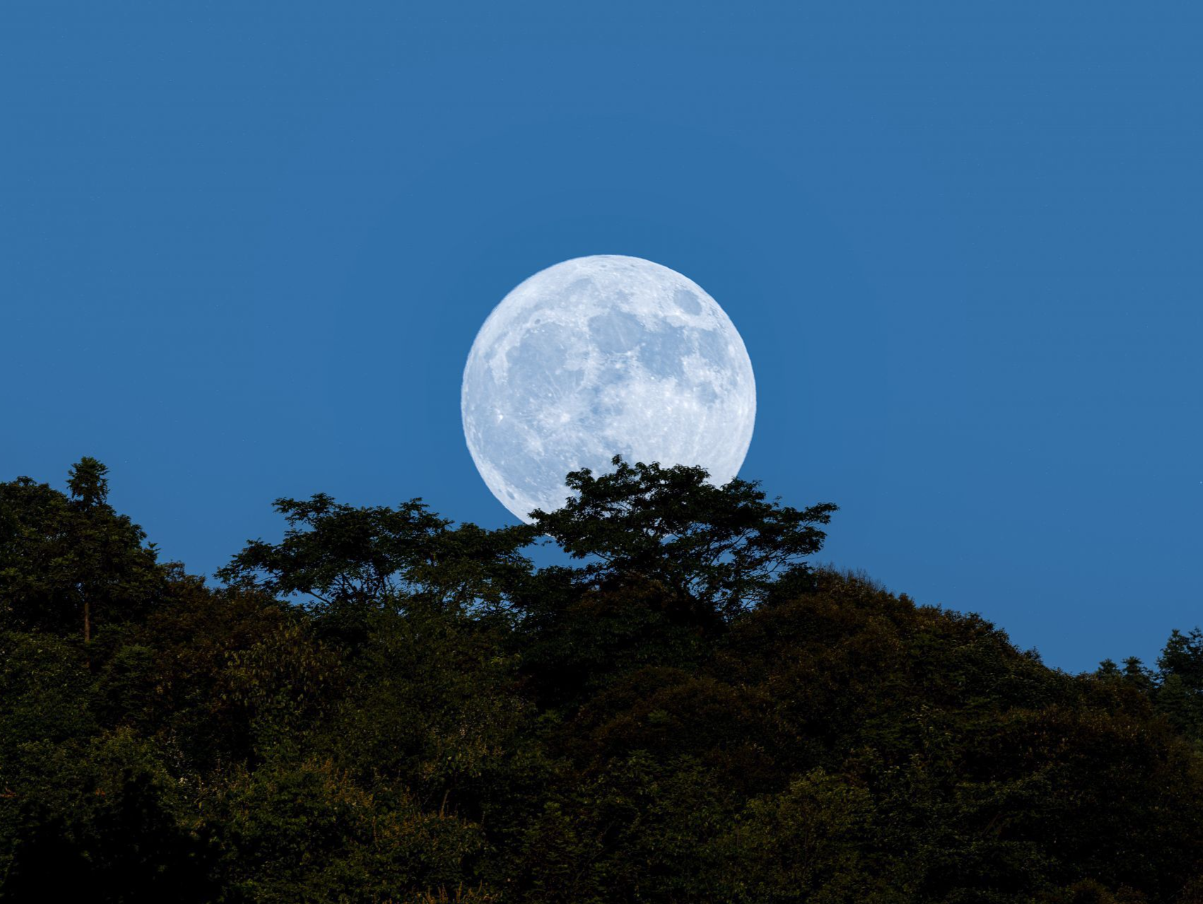 今夜深圳月升时刻为17时58分 可见土星合月相伴