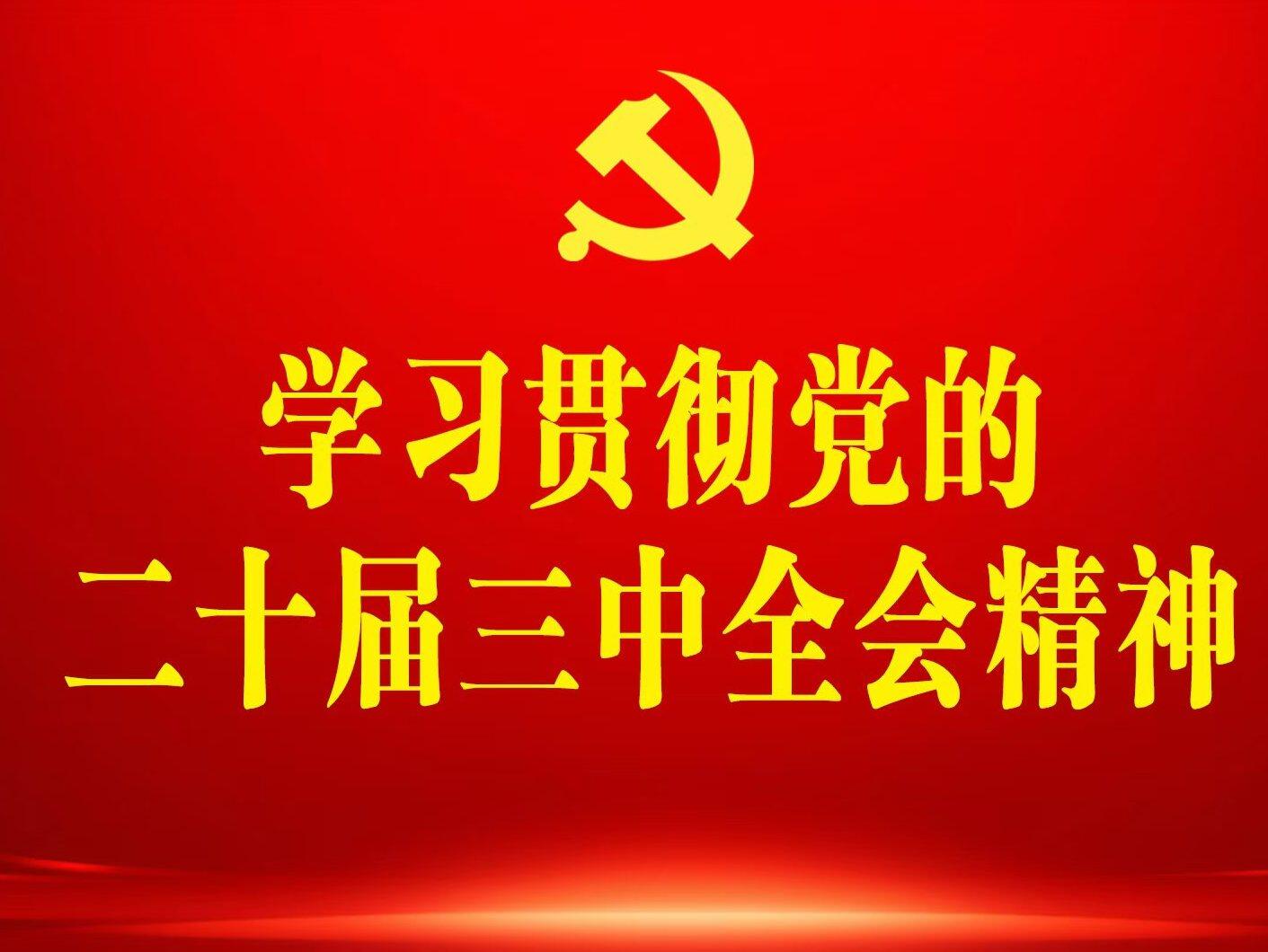 权威访谈丨惠州市能源和重点项目局党组书记、局长黄伟忠：加快建设石化能源新材料产业体系，打造全球石化产业高地