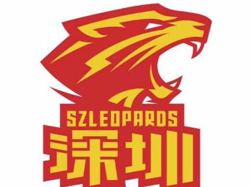 CBA季前赛 | 深圳马可波罗遭遇两连败