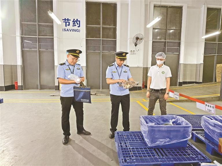 全力护航开学第一餐 用心守护学生每一餐