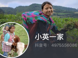 云南网红“小英一家”被曝曾送养两个女孩？民政部门：正调查