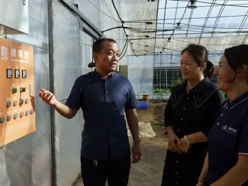 农业智慧科技让她们当上“甩手掌柜”