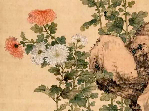 陶渊明与菊