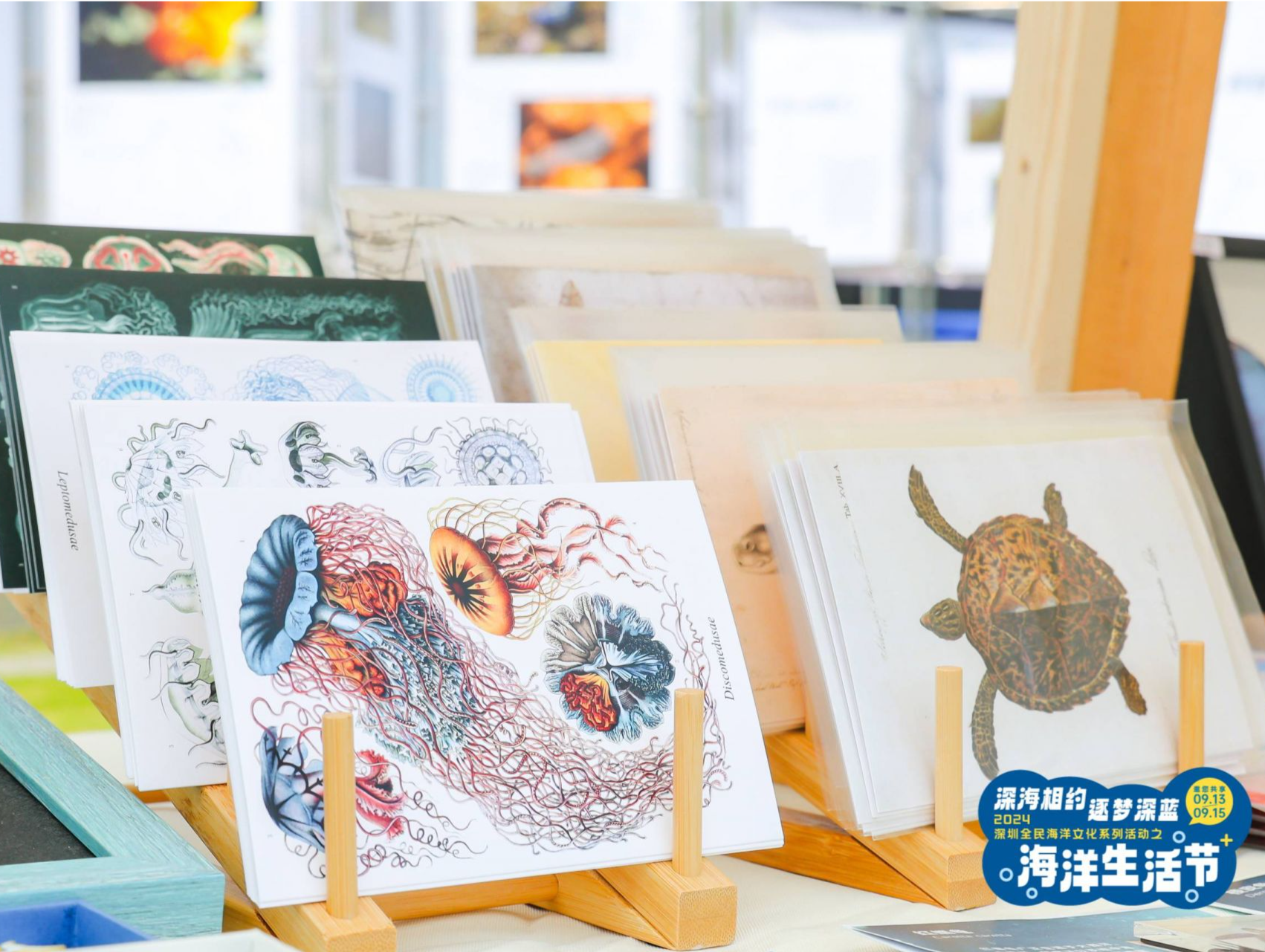 深海相约 逐梦深蓝：2024深圳全民海洋文化系列活动欢乐启幕！