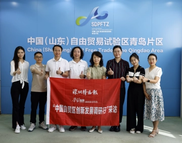 山东自贸区：五载耕耘谱新篇 枝繁叶茂正当时