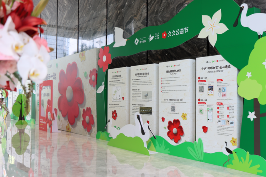 博今国际携手红树林基金会开展第三届企业公益周活动
