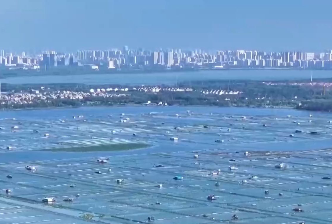 阳澄湖大闸蟹被台风“吹”跑了？记者实地探访→