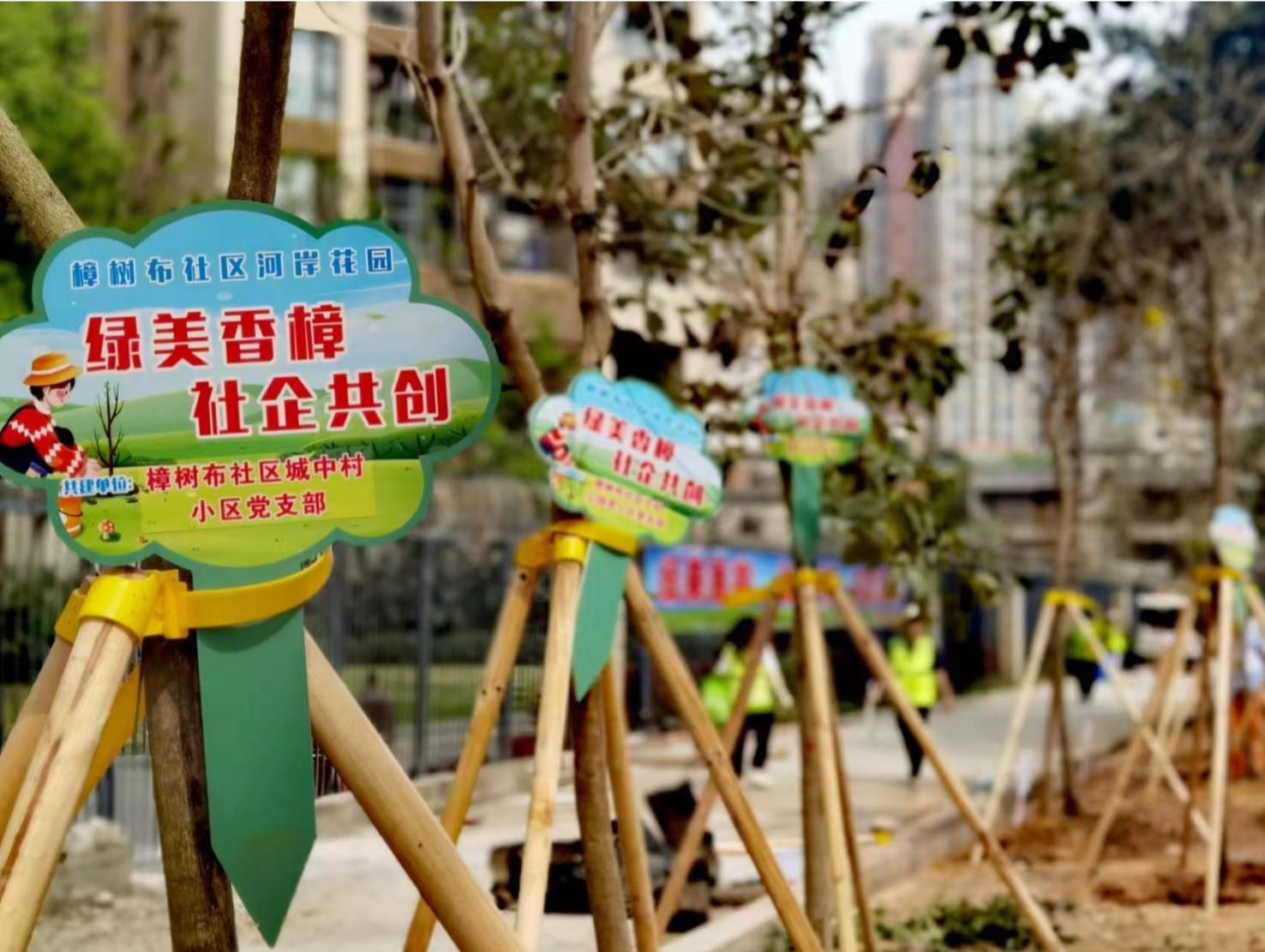 如何凝心聚“绿”？看龙岗这个社区怎么做